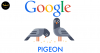 google-pigeon-1024x552.png